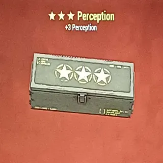 Perception Mod