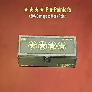 Pin Pointer Mod