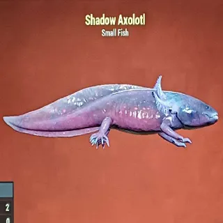 Shadow Axolotl