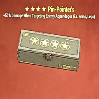 Pin Pointer Mod