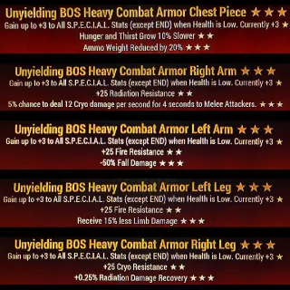 Uny Heavy Combat Set