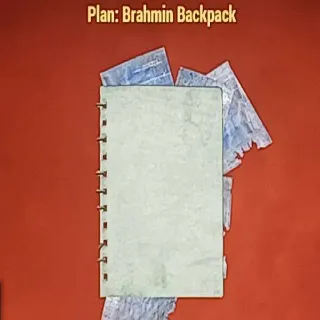 Brahmin Backpack