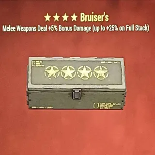 Bruiser Mod