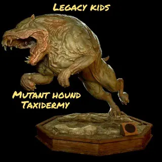 Plan | Mutant Hound Taxidermy