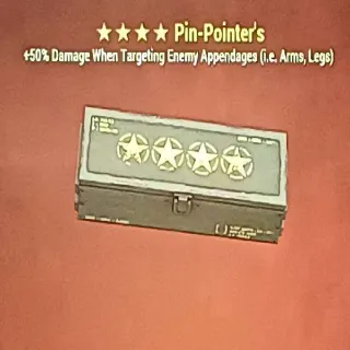 Pin Pointer Mod