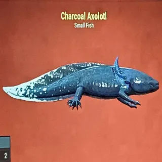 Charcoal Axolotl