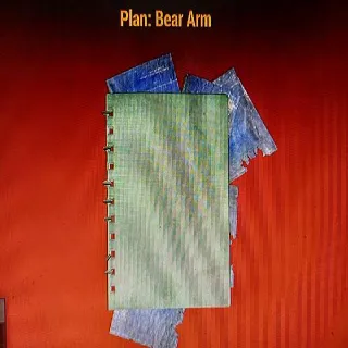 Bear Arm Plan