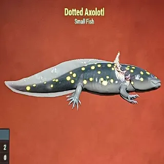 Dotted Axolotl