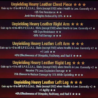 Uny Heavy Leather Set ✨️