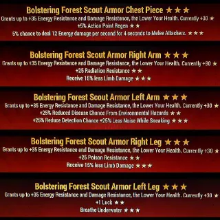 Bolstering Scout Set