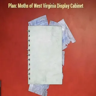 Moths Of West Virginia Display Cabinet