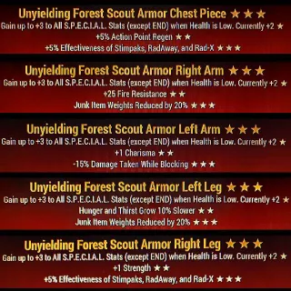 Unyielding Scout Set
