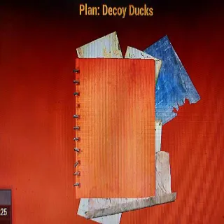 Decoy Ducks