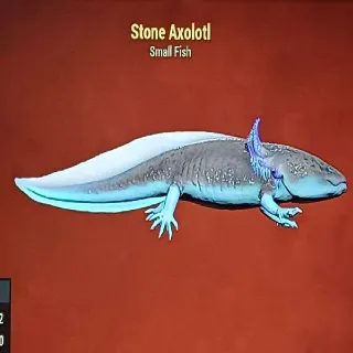 Stone Axolotl