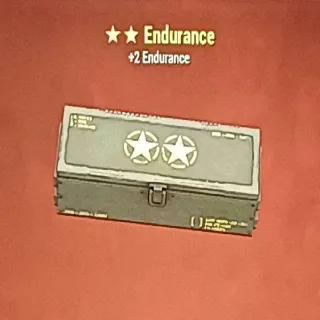 Endurance Mod