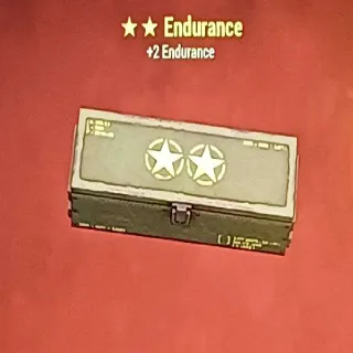 Endurance Mod