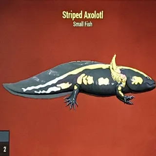 Striped Axolotl
