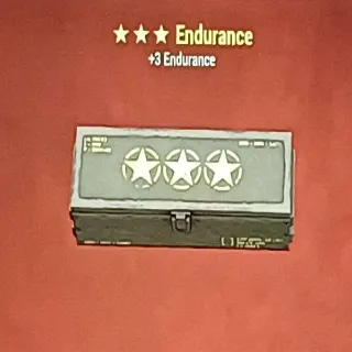 Endurance MOD