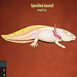 Speckled Axolotl