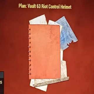 Vault 63 Riot Control Helmet