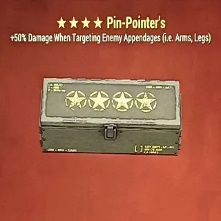 Pin Pointer Mod