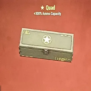 Quad Mod