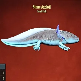 Stone Axolotl
