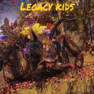 All 26 Plans Big Bloom Event