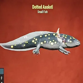 Dotted Axolotl