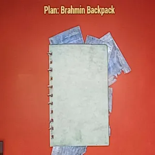 Brahmin Backpack