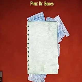 Dr Bones