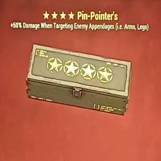 Pin Pointer Mod