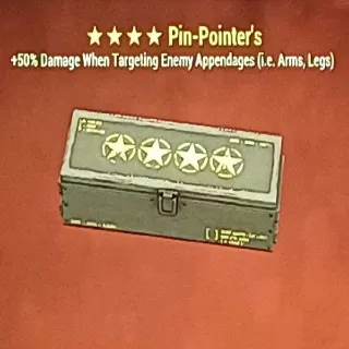 Pin Pointer Mod