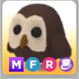 MFR Owl