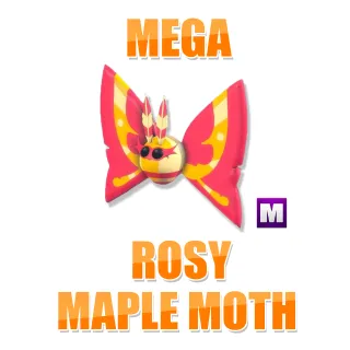 MEGA ROSY MAPLE MOTH