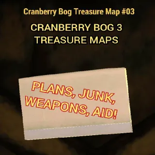 X1000 CB3 TREASURE MAPS