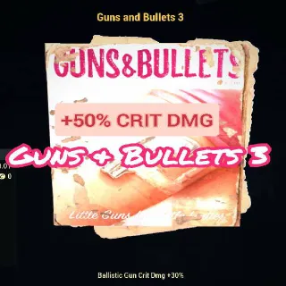 X1000 Guns And Bullets 3