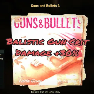 X1000 guns And Bullets 3