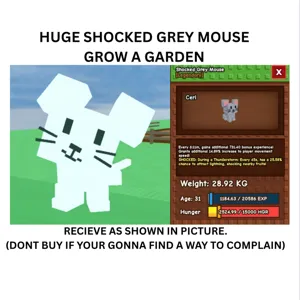 SHOCKED GREY MOUSE GAG
