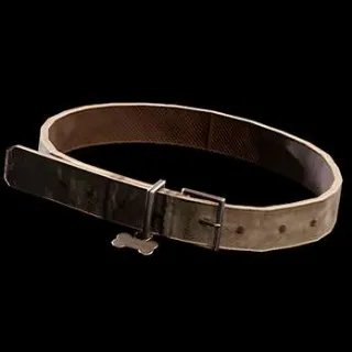 1x Dog Collar