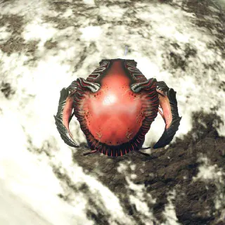 DARK LIVING  SHIP +Upgrades