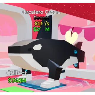 Orcalero Orcala 1M/s