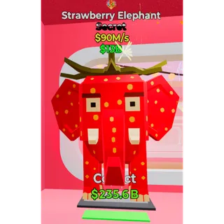 Strawberry elephant 90M/s 