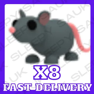 X8 rat