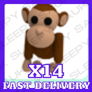 x14 monkey