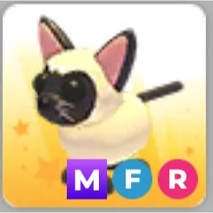 MEGA FR SIAMESE CAT