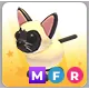 MFR SIAMESE CAT