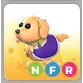 NFR Therapy Dog