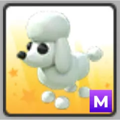 Mega Poodle