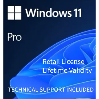 Windows 11 Pro 